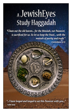 A JewishEyes Study Haggadah